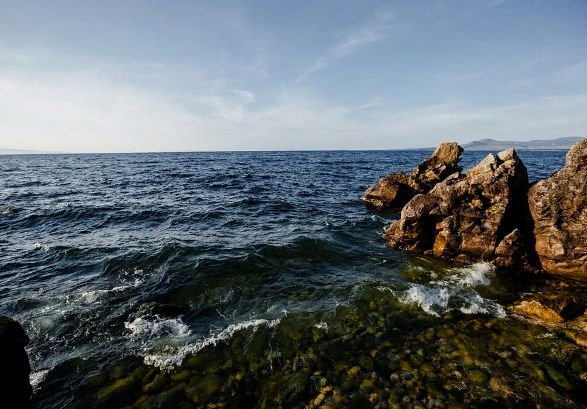 ���� � ������� ��������� �� ��������� ��������