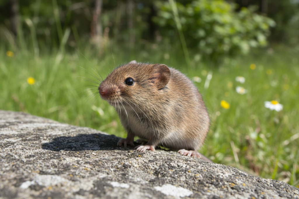 ���������� ������ �� ������� ���������� ������������ � ��������� ���