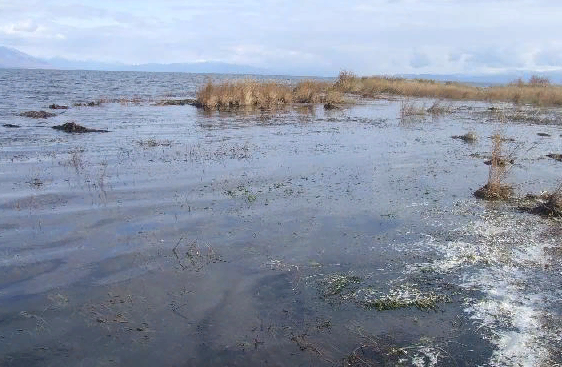 �� ������� �������� �������� ������ ����