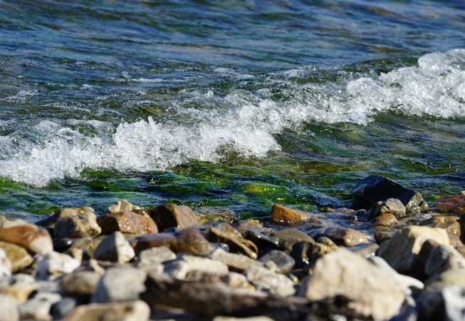 ������ ������� �������� ������� ��������� �� �������