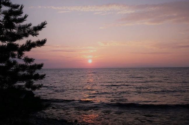 ������ �� �������������� ������ ������� ���� � ������ ������ � 2020 ����