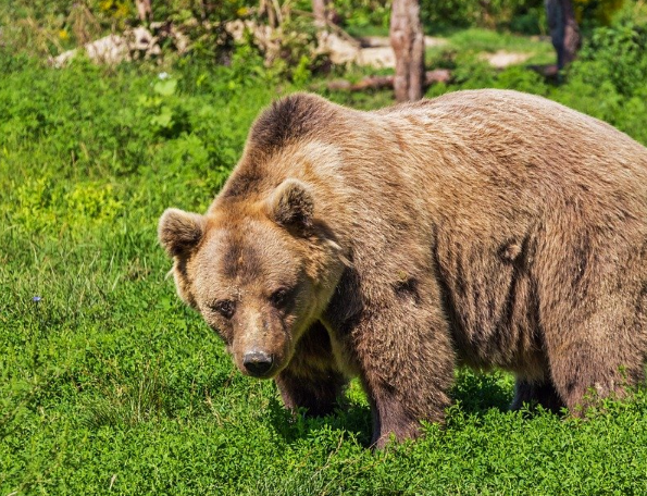 �� ������� ��������� ��������� ������������� ������� ��-�� ��������