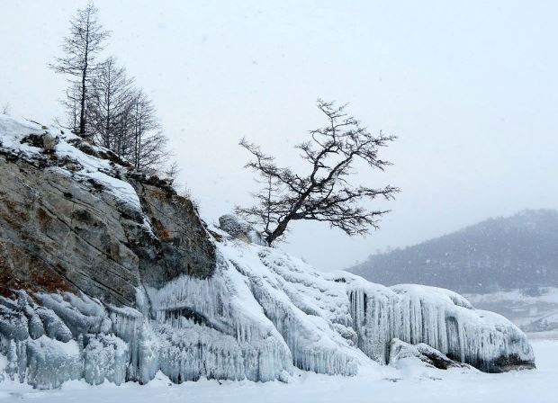 ��� ���������� ������� ������� � ������ ������ ����������� �� ����� 38 ���� ������