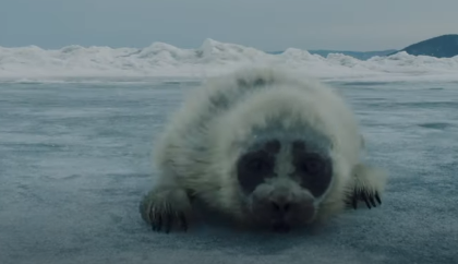 "������. ������������ ����������� ���": �� ������� ������ ������� ����� � ����������� �����