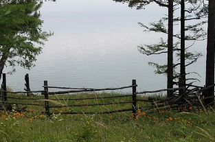 ������ ����� �� ������� ������ ��������