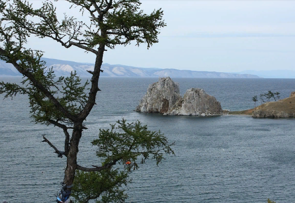 ������ �� �������� �������� ������ �� ������� ����������� � 6 ���� ������