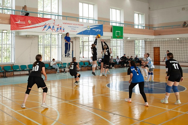      IV    
