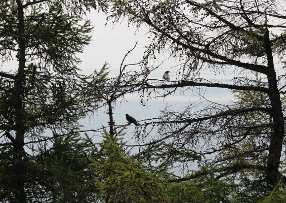 ������ ������� � ��������������� ���������� � �������� � ����� �� �������