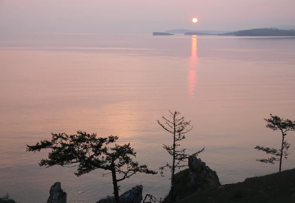 �������������� ������������ ������� �� ���������� ������� � 2022 ���� �������� � 1,7 ����