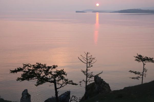 ������� ����� ���� ������ �� ������