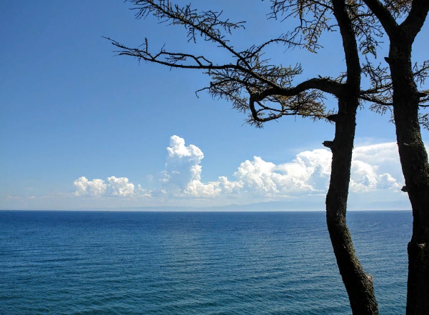 ������ ������� ������� ������ ���� ������ ����� ������