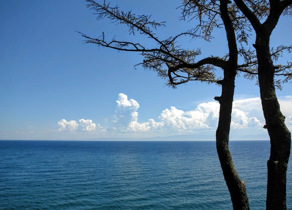 ��� �������: "����������� �������������. ��� �� ���� ����������"