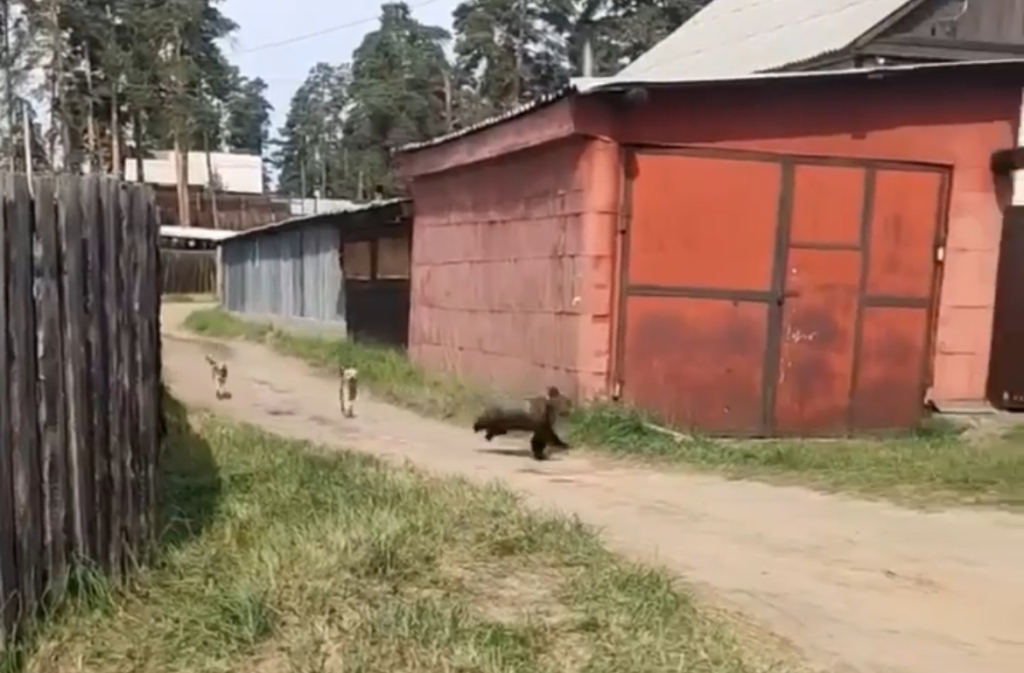���������� ������� � �������� ������� � �������: ����� ��������� �����