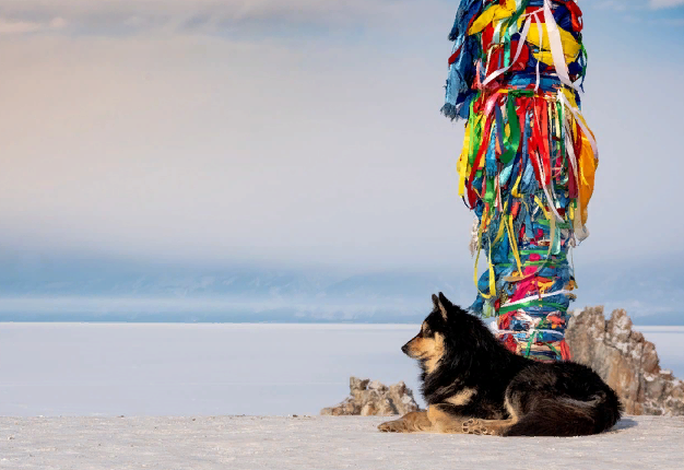 ������ ����� � ���-10 ���������� ����������� ��� ������� � ������ �� ���������� ��������