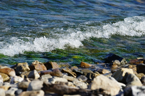 �� ��������� ������� ��������� ��������������� �������� ����������