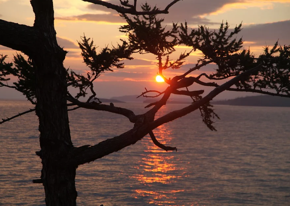 ������� ������ �������� �� ������� ����������� �������� �� 11,2 ���. ��