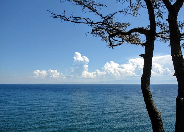 ������ ���������� ��� ��������� �������� �� �������