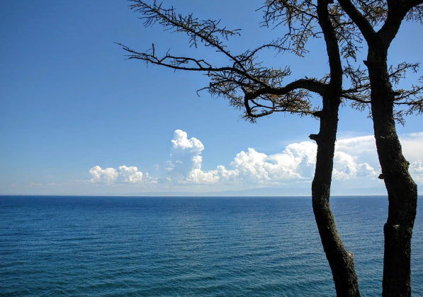 ����� ������� ����������� �������������� ���� �� ������ �������