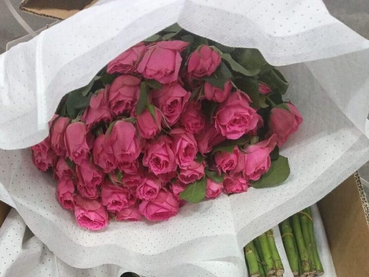 ����� 1,8 �������� ������ �������� �� ����� � ������� � ������ ����