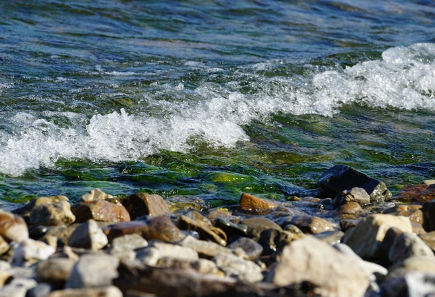 ����� ��� ��������, � ��� ������ �� "��������� ��������" �������