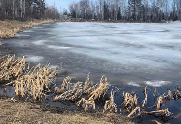 �� ������� ����� ����� �� ��-�� ������ ����������� ����