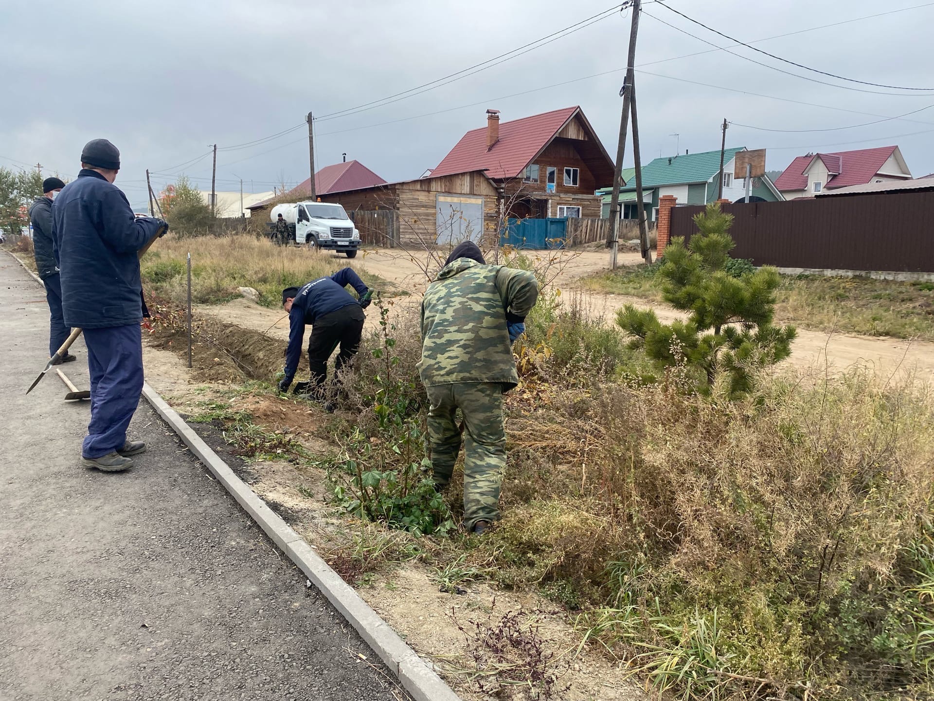 Пересадка улица. Программа по озеленению в Улан -Удэ новый лес.