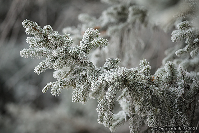    -39  