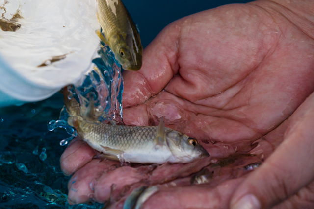 ������ �������� � ������������ �������� ����������� ������������ �����