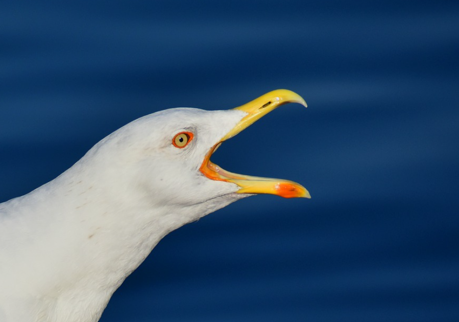 ����� ������� ������� ������� ��-�� �������� ����� �� �������  