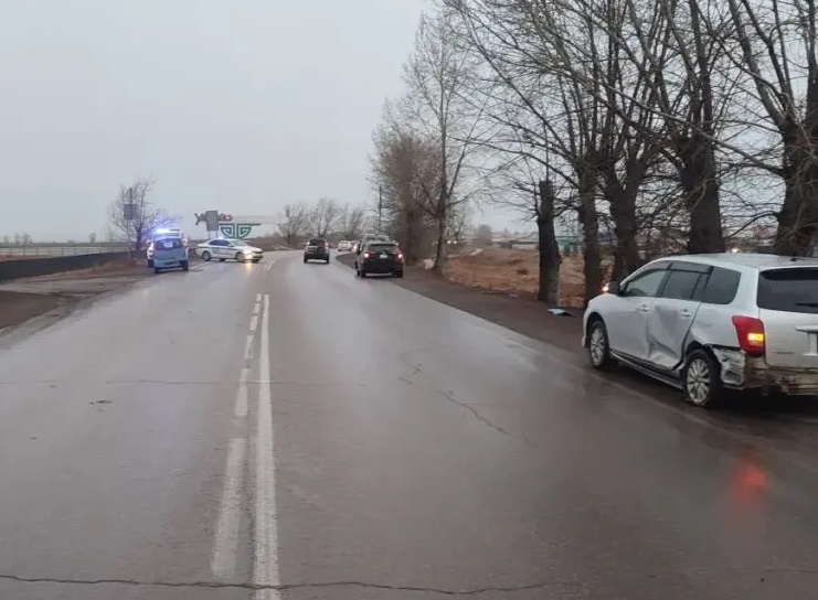 � ������� ����� ��� ������ ������ ����������� ���� ��������� ��������