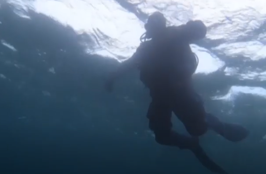 ������ ������� ������ � ������������ �������������