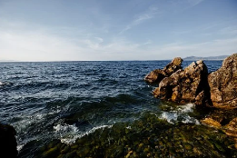 ������ ���������� ������� � ������� ������������ �������