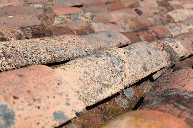 � ��������� ����-��� �������� �������� ���������� ��� ���������� ����� ������� ���� �����