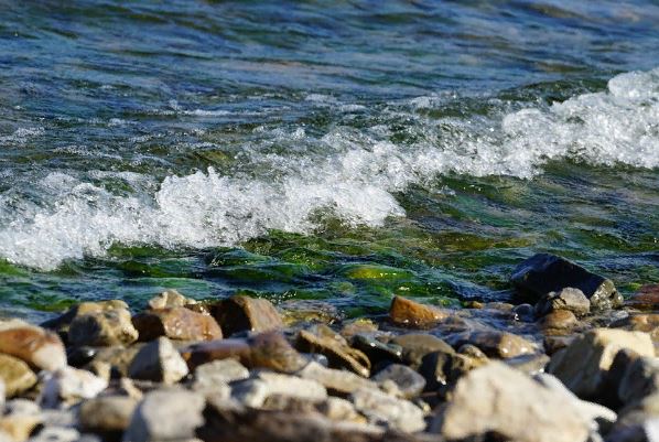 ������ ��������� �� ������� ����������� ���������� ������