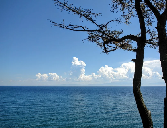 ������ � ������ � ������� �������� ����� �� 36%