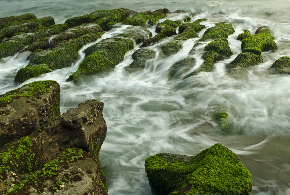 �������� ������ ������� �� ��������� ���������