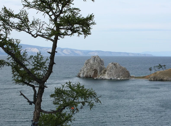 ��� ������������ ������� ��������� ����������� ��������