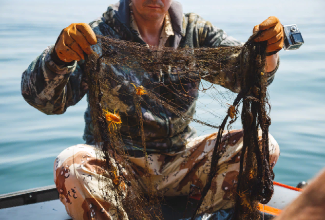 ����������� ������ ������� ���������� ���������� ����� �� ���������� �������