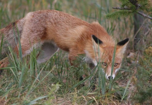 ������� �� ��������� ��������� � ������ �������� ����� ������ � �������