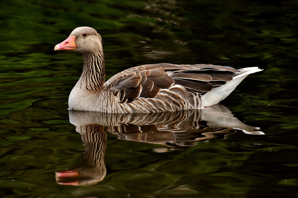 � ����������� ����������� ������� �� 30 ��� ���������� ������ ����