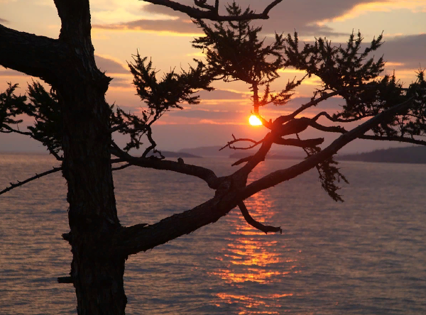 ������� ������� 96 ��� ������ �� ������������� �������� � ������� 