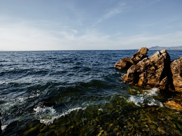 ������ ������� ��������� ��� ����������� �������