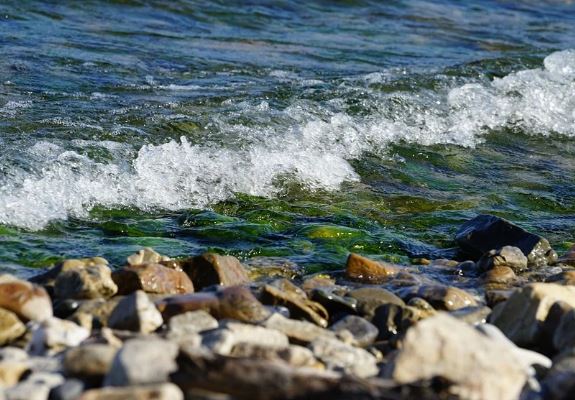 � ������� ��������� ��������� ������ ����