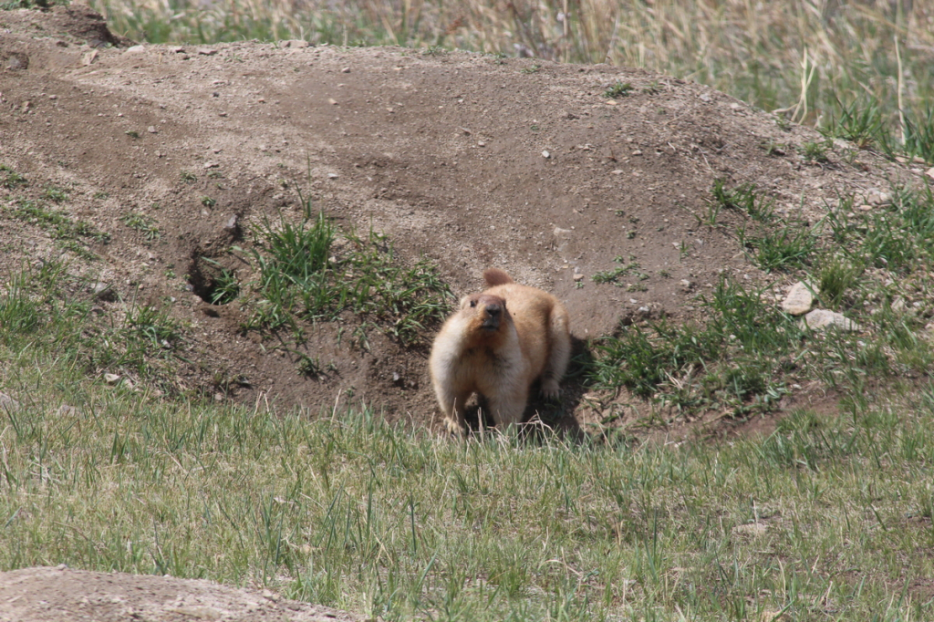 ��������� ���������� ���: � ������� �� ���������� ������������ ��������� ������� ���� ������������ ����� 