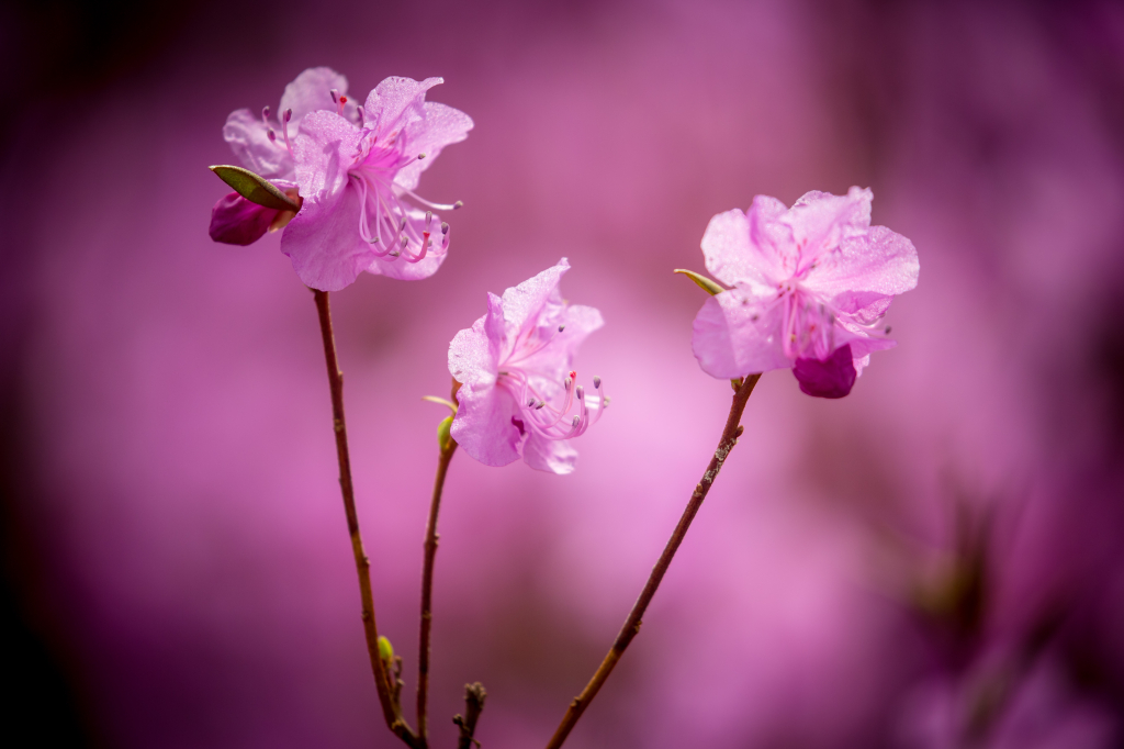 ����� � �������: �������� ���������� ������� 