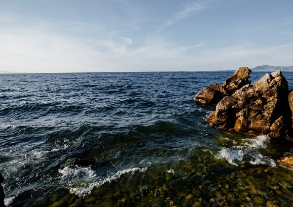 ������� ����� ������ ����� �� ������� ����� 2021 ����?