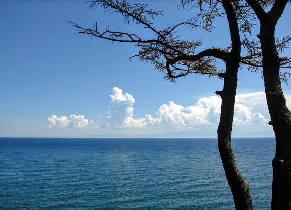 ������ �������� ����� ��������� ����������� ������� 