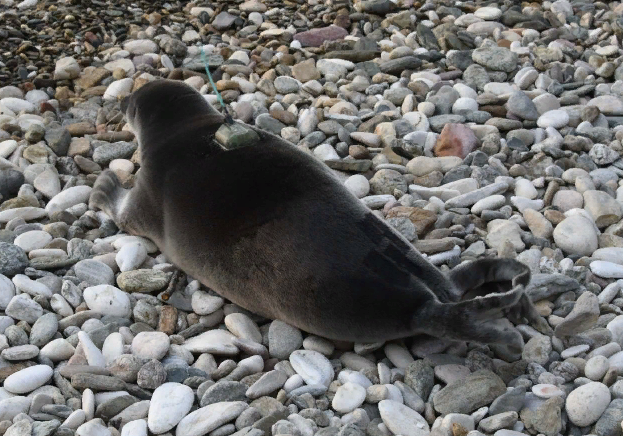 �� ����������� ���� ������ ����������� �������