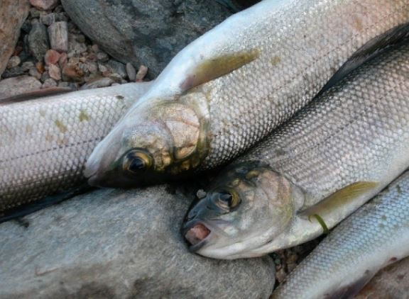 ����� ���������� � ����������� �� ������� ����� � 2021 ���� ���������� �����