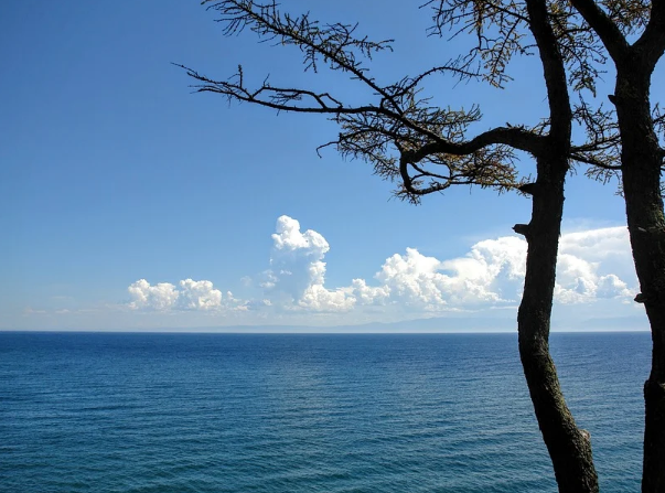 �� ������ ������� �� ����������� �������� ���� ������� 363 �������� ������